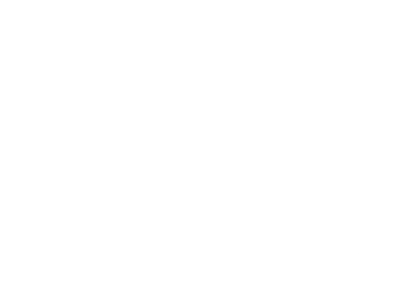 Logo de Barra Brava